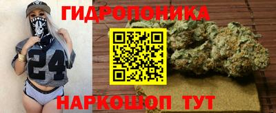 мдпв Бердск