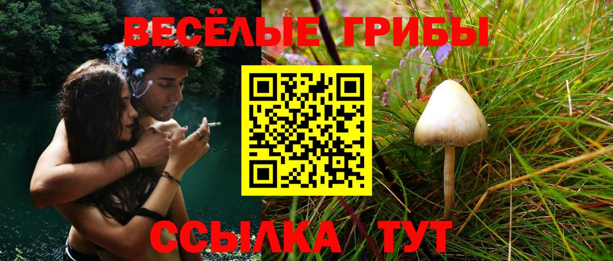 Псилоцибиновые грибы Magic Shrooms Белореченск