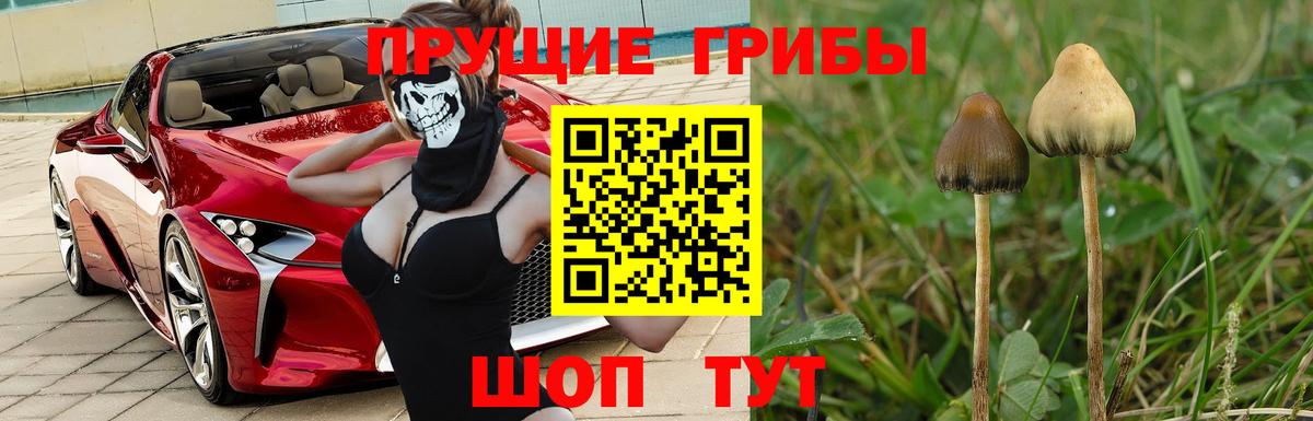 Белореченск  купить   Вход с VPN  Псилоцибиновые грибы мицелий  Галлюциногенные грибы ЛСД 